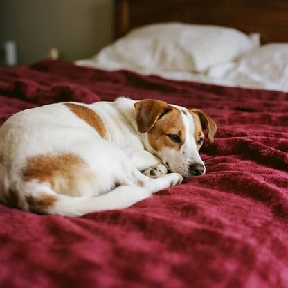 gogobunny Waterproof Bed Blanket, Reversible Sherpa Fleece Throw Blanket for Dog Puppy Cat, Furniture Cover Protects Bed Couch Sofa from Liquid Pee and Pet Fur (Romantic Red, 90x108 inches)