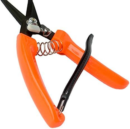 Hoof Trimmers Goat Hoof Trimming Shears Nail Clippers for Sheep, Alpaca, Lamb, Pig Hooves Multiuse Carbon Steel Trimmer (Pack of 2)