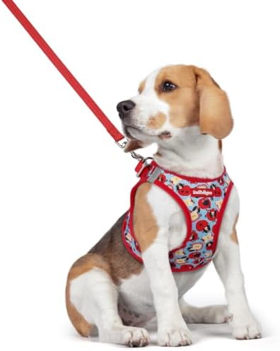 rabbitgoo Dog Harness Medium Sized and Leash Set, Step-in Puppy Pet Vest