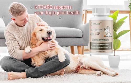Hip and Joint Supplement for Dogs- with Glucosamine, Chondroitin, and MSM,120 Chewable Tablets, Chicken Flavor, Dog Joint Supplement，Joint Support Supplement for Dogs