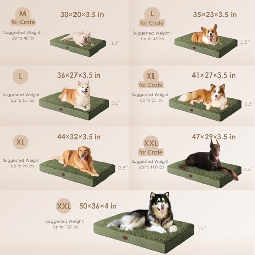 EHEYCIGA Orthopedic Dog Bed Large with Removable Washable Cover, 35x23