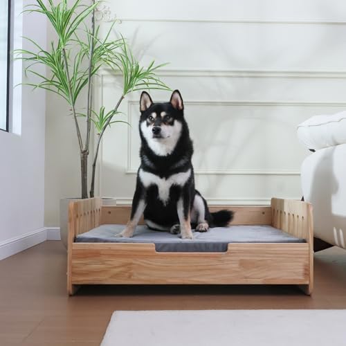 Elevated Dog Bed for Small to Medium Dogs – 32” x 21” Indoor Wooden Pet Sofa with Soft Cushion, Mid-Century Modern Style, Sturdy & Stylish (Natural)