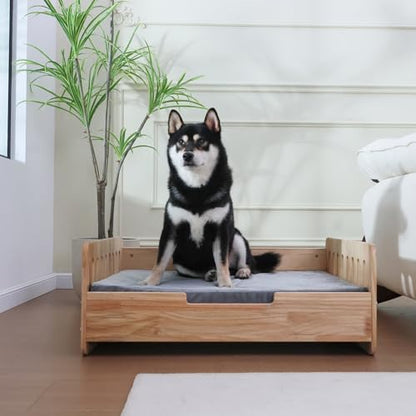 Elevated Dog Bed for Small to Medium Dogs – 32” x 21” Indoor Wooden Pet Sofa with Soft Cushion, Mid-Century Modern Style, Sturdy & Stylish (Natural)