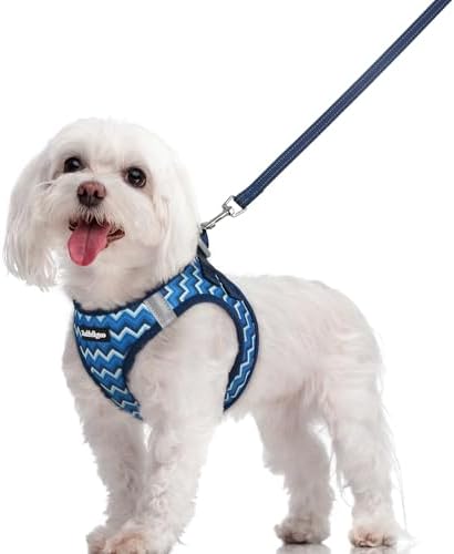 rabbitgoo Dog Harness Medium Sized and Leash Set, Step-in Puppy Pet Vest