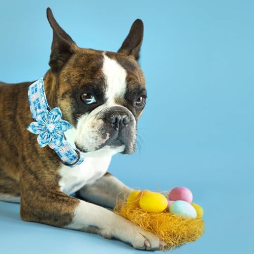 Dog Collar - Easter Day Dog Collars with Flower for Dogs Flowers Bunny Print Adjustable Girl Pet Gift Collar for Medium Small Large Dogs