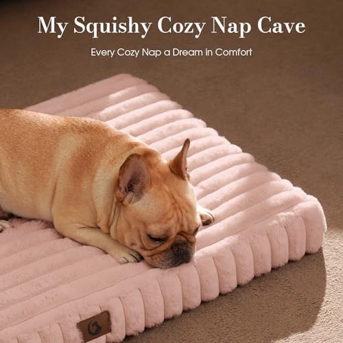 Extra Large Dog Bed Orthopedic Foam with Waterproof Lining