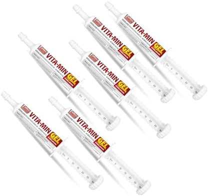 Jeffers Vita-Min Gel for Livestock & Horses – Multivitamin & Mineral Supplement with Selenium, Zinc, Potassium & Turmeric – Easy Oral Gel for Cattle, Goats, Sheep & Pig – 30 cc Tube - 6 Pack