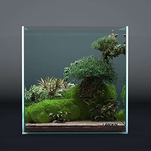 LANDEN Aquarium Cube 6.6 Gallon Ultra Clear Glass Rimless Fish Tank 30C