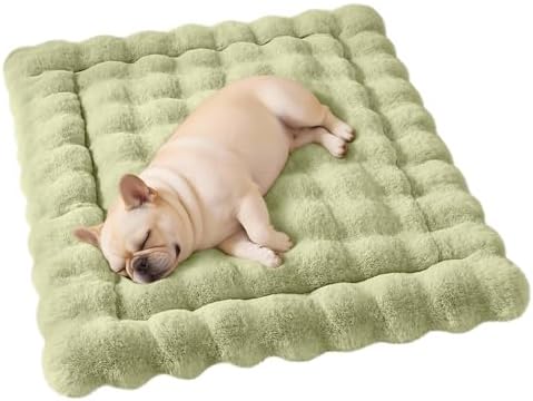 SOMAHE Plush Pet Bed Mat, Machine Washable, Medium 27x20 Fruit Green