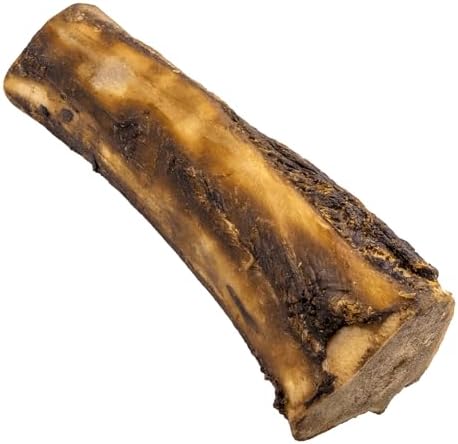 NATURE'S LOGIC Beef Hind Shank Bone - 7-8" Long Recreational Dog Chew