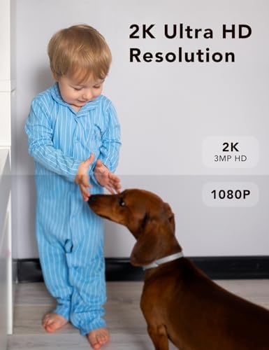2K Wired Security Camera, Indoor/Outdoor for Home, Pet, Baby, Nanny, IP65 Waterproof Color Night Vision, White Light & Siren, Recording, Motion Detection, Works with Alexa, Plug in, White-2P