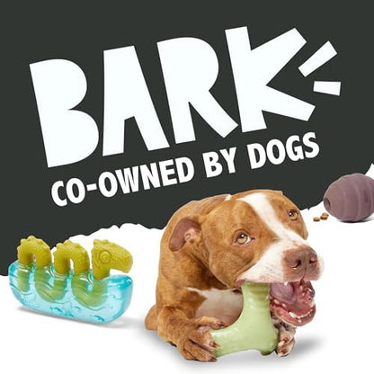 BarkBox Deep Sea Throwfish Dog Toy - for Large Dogs