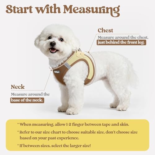 rabbitgoo Dog Harness Medium Sized and Leash Set, Step-in Puppy Pet Vest