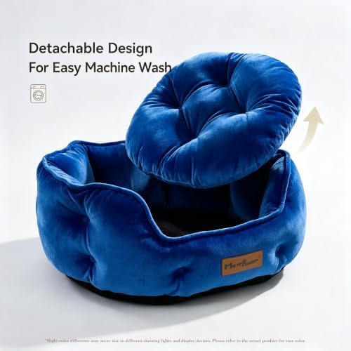 Royal Blue Cat Bed for Indoor Cats, Removable Cushion Bed