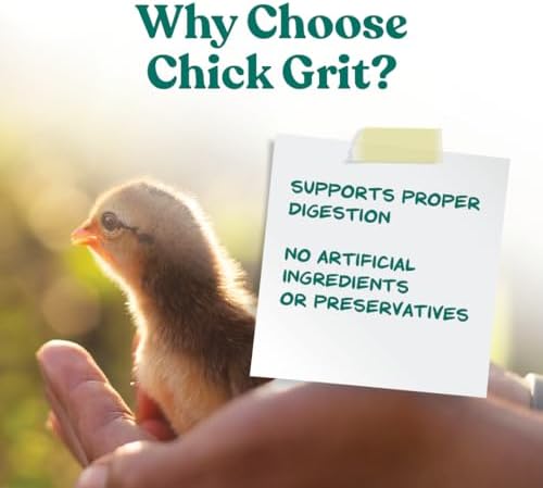 Manna Pro Chick Grit Digestive Supplement for Young Growing Poultry & Bantam Breeds, No Artificial Ingredients or Preservatives, Natural Supplement with Insoluble Crushed Granite, 5 lbs