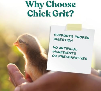 Manna Pro Chick Grit Digestive Supplement for Young Growing Poultry & Bantam Breeds, No Artificial Ingredients or Preservatives, Natural Supplement with Insoluble Crushed Granite, 5 lbs