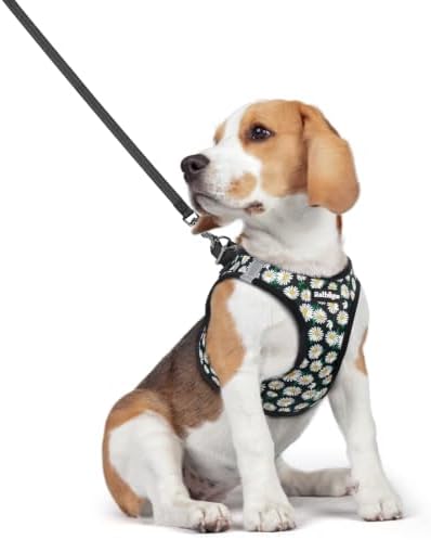 rabbitgoo Dog Harness Medium Sized and Leash Set, Step-in Puppy Pet Vest