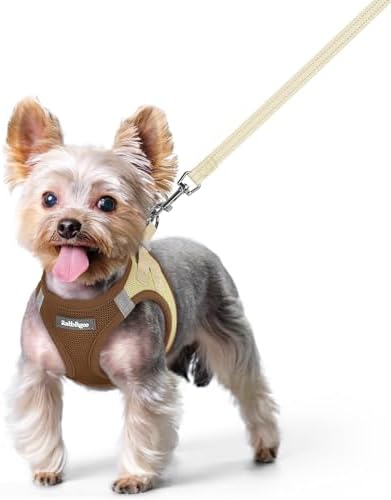 rabbitgoo Dog Harness Small Sized and Leash Set, Step-in Puppy Pet Vest