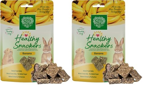 Small Pet Select Healthy Snacker Banana (2 Pack), Treats for Rabbit, Guinea Pig, Bunny, Other Small Pets, Made with Real Fruit, Veggies, and Timothy Hay, 4oz
