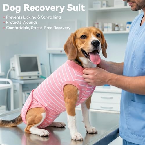 cyeollo Dog Surgery Recovery Suit, Surgical Onesie for Female & Male Dogs