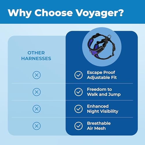 Voyager Escape-Proof Step-in Lock Cat Harness & 5ft Neoprene-Handle Leash Set All-Weather Mesh with Reflective Stitching for Small to Large Cats by Best Pet Supplies, Black Trim-Royal Blue (327), S
