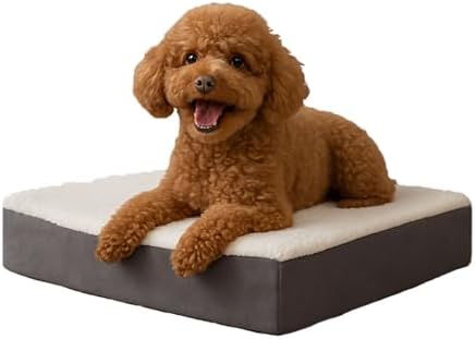 Orthopedic Dog Bed - 2-Layer Memory Foam Crate Mat with Machine Washable Sherpa Cover - 20x15 Pet Bed for Small Dogs Up to 20lbs by PETMAKER (Gray)