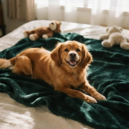 gogobunny Waterproof Blanket for Twin Bed, Warm Sherpa Fleece Throw, 60x80