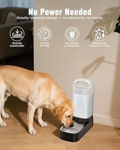 PETNF 2.4 Gallon Automatic Dog Water Bowl Dispenser with Handle