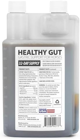 Jeffers Healthy Gut Horse Gastric Support – Liquid Digestive Supplement for Horses Prone to Ulcers, Easy to Feed Formula, Supports Gut Comfort & Balanced Digestion – 32 oz (32 Day Supply)