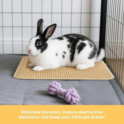 3-Pack Rabbit Scratching Pads – Natural Sisal Bunny Scratch Mat for Claw & Teeth Care, Small Animal Enrichment Toys, Chew-Resistant Bedding for Cages, Play Areas (15.7"x11.8")