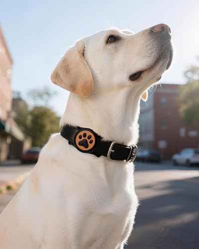 IP68 Waterproof Dog AirTag Holder for Dog Collar, Soft, Stretchy Silicone