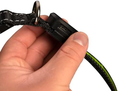 Sherry Kline LED Light-Up Pet Collar - USB Rechargeable - Flashing Glow in The Dark Size Large, Color: Green