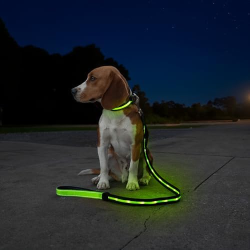 Sherry Kline LED Light-Up Pet Collar - USB Rechargeable - Flashing Glow in The Dark Size Large, Color: Green