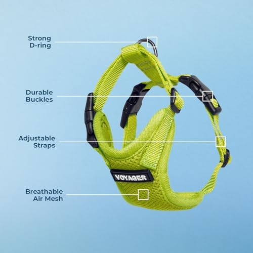 Voyager Step-in Lock Dog Harness - Lime Green, X-Small