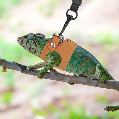 Bearded Dragon Leash & Harness Set