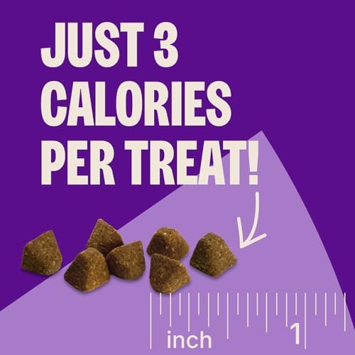 Wellness CORE Tiny Trainers Dog Treats, Natural, Grain Free, Turkey and Pomegranate Recipe, 6 oz Bag