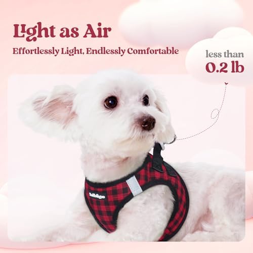 rabbitgoo Dog Harness Small Sized and Leash Set, Step-in Puppy Pet Vest