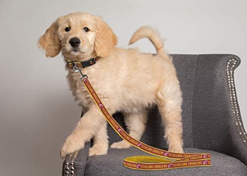 NBA CLEVELAND CAVALIERS Dog Leash, Size Large. Heavy-Duty Metal Swivel Buckle Pet Leash