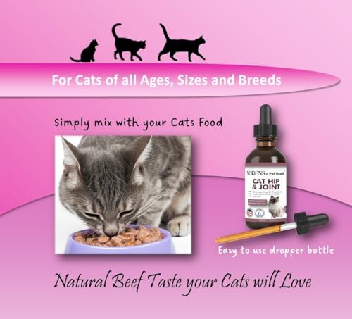 NODENS Cat Hip and Joint Liquid Glucosamine for Cats with Chondroitin