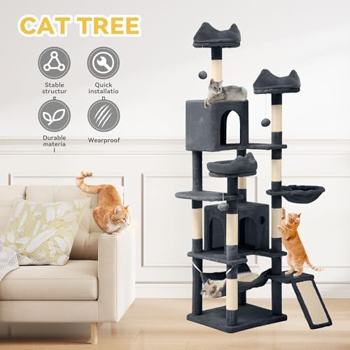 DWVO 75 in Multi‑Level Cat Tower