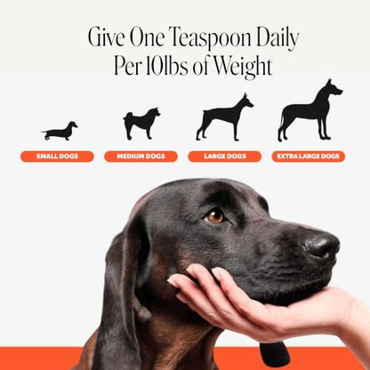 Pet Honesty Hip and Joint Oil for Dogs, Turkey, 90 Count