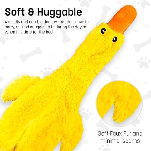 FGA MARKETPLACE Racoon-Squirrel-Duck-Frog-Monkey Flat NO Stuffing NO Squeak Plush Dog Toy, Funny Style Will Entertain Your Pet for Hours