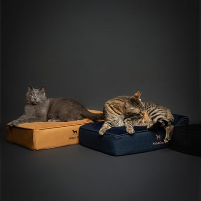 NOAH & PAW Small Dog Bed, 20x15x6.5 Inch, Cat Bed for Indoor Cats, Orthopedic Eggshell Memory Foam Infused with Cooling Gel, Water Resistant, Machine Washable, Includes Inner Cover (Denim Collection)
