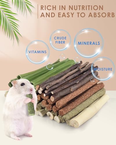 Bissap 54 PCS Rabbit Chew Sticks, Mix Natural Sweet Bamboo Timothy Hay Oat Carrot Chew Stick Apple Branch Bunny Chews for Rabbit Hamster Chinchilla Guinea Pig Small Pet Molar Treats