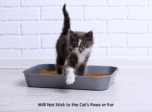 Coir Wonder Cat Litter Deodorizer – 2.2 Lb Activated Charcoal Carbon – Odor Eliminator for Litter Box, Chicken Coop, Small Animal Enclosures – Extends Litter Life – Natural Pet Odor Control Granules