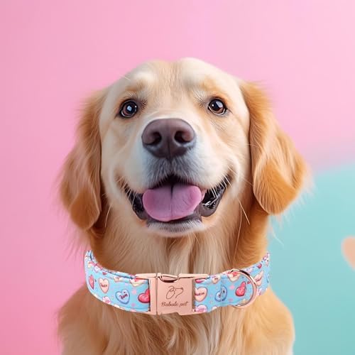 Valentines Dog Collar for Puppy Small Dogs - Cute Blue Heart Pattern Puppy Collar Sweet Valentine Adjustable Heavy Duty Pet Collar with Metal Buckle XS