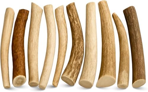 WhiteTail Naturals 10 Pack Whole Deer Antler Chews for Small Dogs - 4-6"
