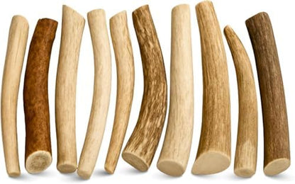 WhiteTail Naturals 10 Pack Whole Deer Antler Chews for Small Dogs - 4-6"