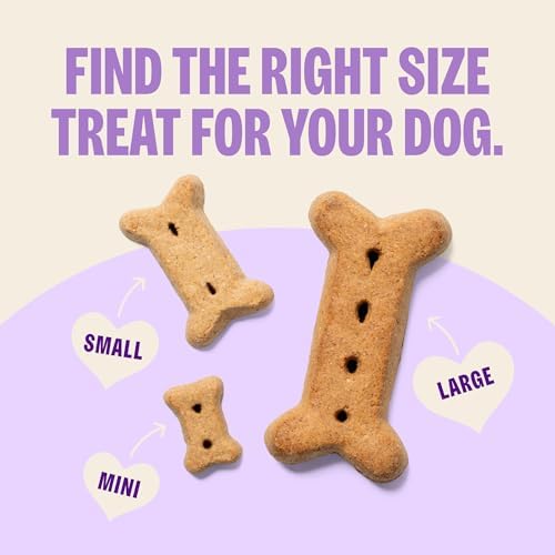 Wellness Old Mother Hubbard Classic P-Nuttier Dog Biscuits, Natural Training Treats, Peanut Butter Flavor, Large Size, 3.3 lb Bag