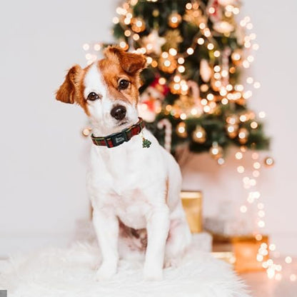 Dog Collars - Christmas Plaid Print, Soft & Adjustable for Medium Dogs